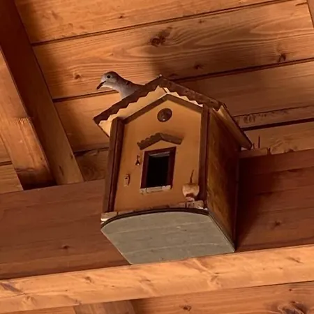 Bed & Breakfast I Quattroventi Muravera