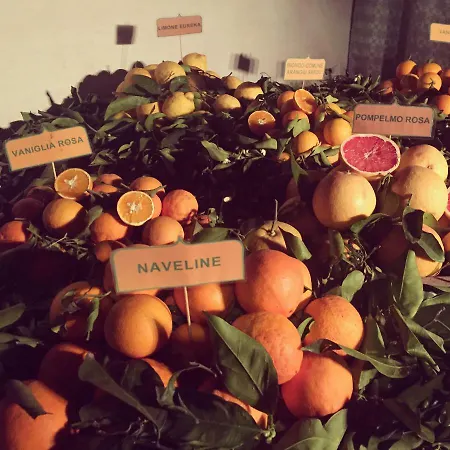 I Quattroventi Muravera