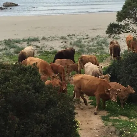 فندق مبيت وإفطار I Quattroventi *